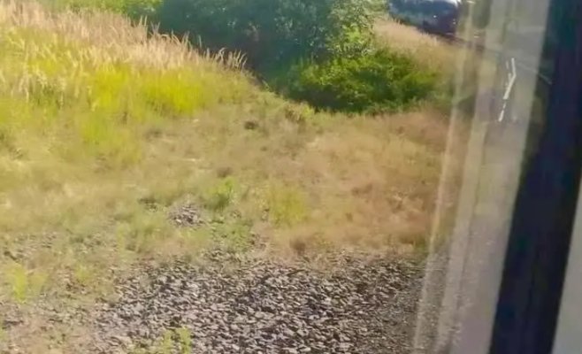 Чудо на железной дороге: поезд в регионе Соколовско остановился в нескольких метрах от встречного состава