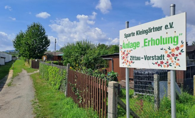 Чешские садоводы массово осваивают немецкие участки и экономят сотни тысяч крон