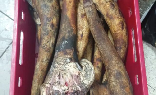 Ветеринары выявили 170 кг некачественных продуктов и нелегальный мясной цех на Sapa