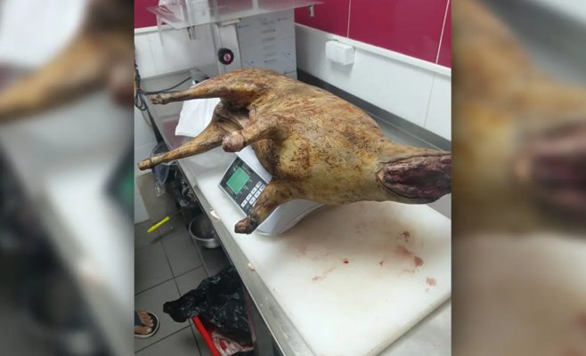 Ветеринары выявили 170 кг некачественных продуктов и нелегальный мясной цех на Sapa