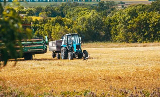 В Чехии зафиксирован второй худший урожай за последние 12 лет