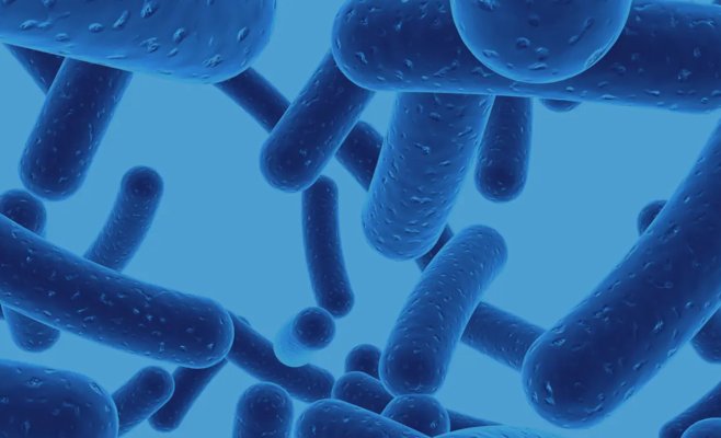 В Чехии от коклюша умерла трёхмесячная девочка