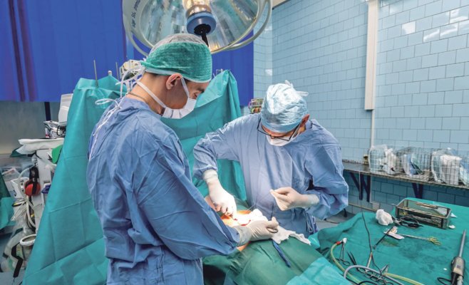 Компенсации незаконно стерилизованным женщинам затягиваются: жалоб становится больше