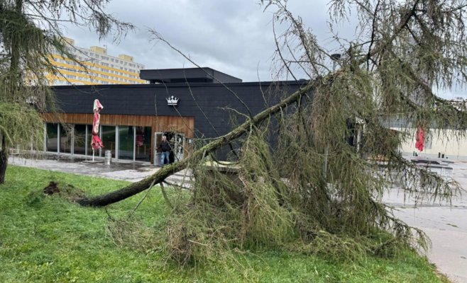 В Праге остановлено судоходство на Влтаве: закрыты парки и детские площадки