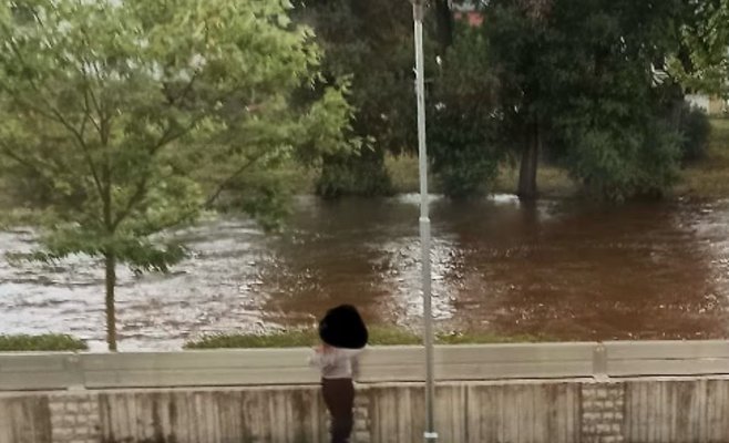 Дети из-за скуки разобрали противопаводковые барьеры, бросая болты в реку