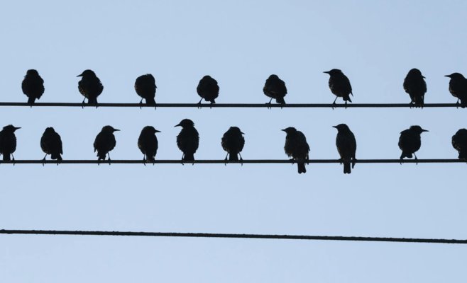 Ожидается солнечная погода с приятными температурами