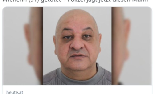 Полиция задержала гражданина Словакии, подозреваемого в изнасиловании и жестоком убийстве 91-летней пенсионерки в Вене