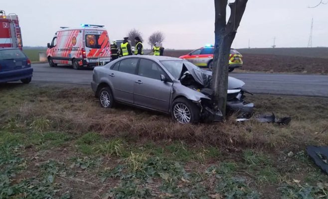 Молодой парень без прав погиб в ДТП, врезавшись в дерево