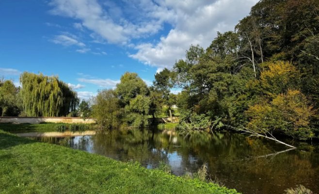 В Праге маленький мальчик чуть не утонул — родителей рядом не было