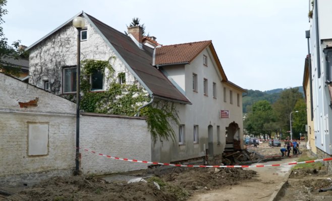 В Чехии зафиксирован первый случай крысиной желтухи