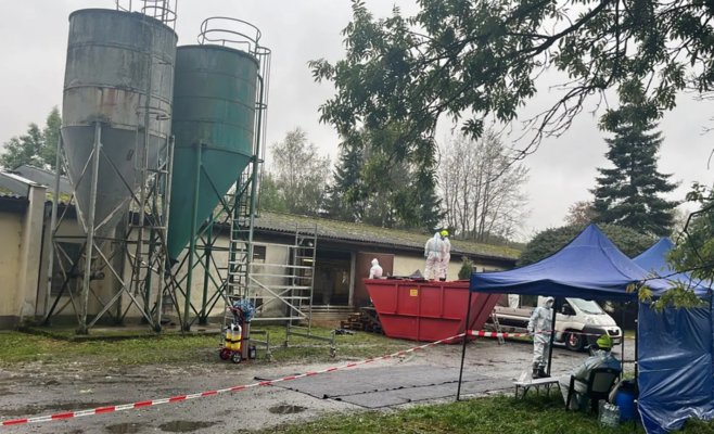 На Клатовщине ликвидируют 27 тысяч заражённых птичьим гриппом птиц