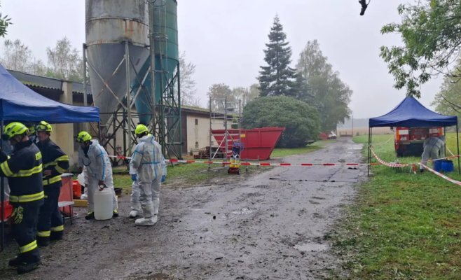 На Клатовщине ликвидируют 27 тысяч заражённых птичьим гриппом птиц