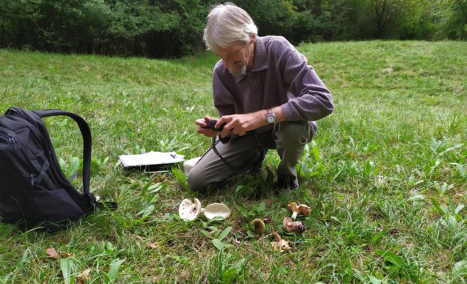 Леса Южной Моравии заполонили грибники: растет риск отравлений