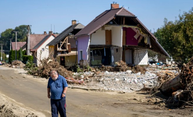 В Чехии зафиксированы три случая крысиной желтухи: как избежать заражения после наводнений