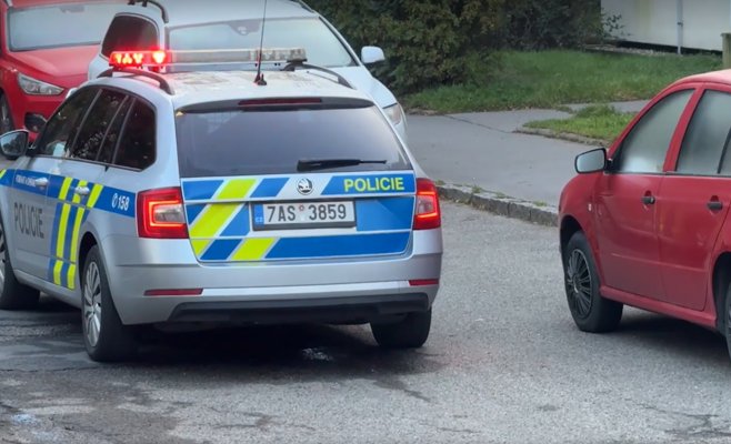 Ротвейлеры напали на двух собак в Праге: оба погибли