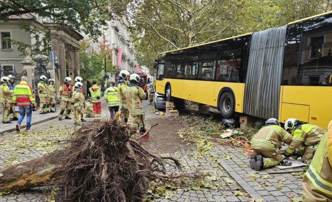 Автобус в Дрездене врезался в дерево и упал на фургон: 30 пострадавших