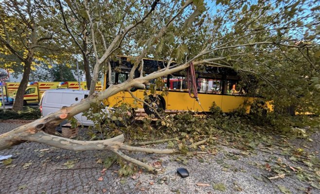 Автобус в Дрездене врезался в дерево и упал на фургон: 30 пострадавших