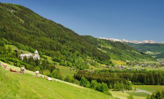 Чех в австрийских горах пострадал от удара камнем и упал в ущелье