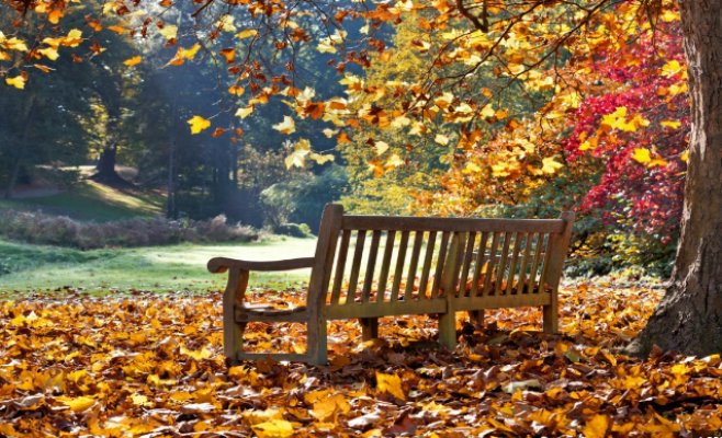 Приходит Терезианское бабье лето: дождя ждать к выходным
