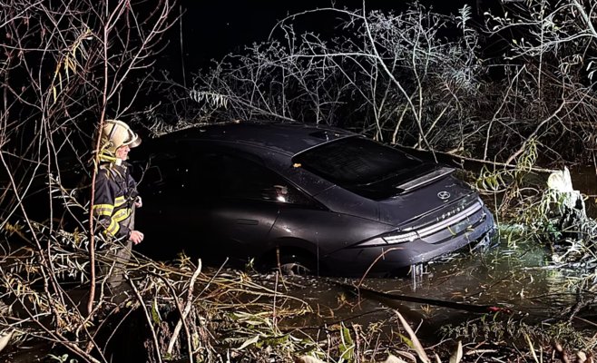 В Чехии электромобиль оказался на дне пруда, но успел 
