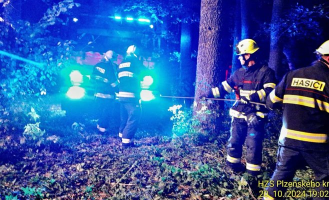 В Чехии электромобиль оказался на дне пруда, но успел 