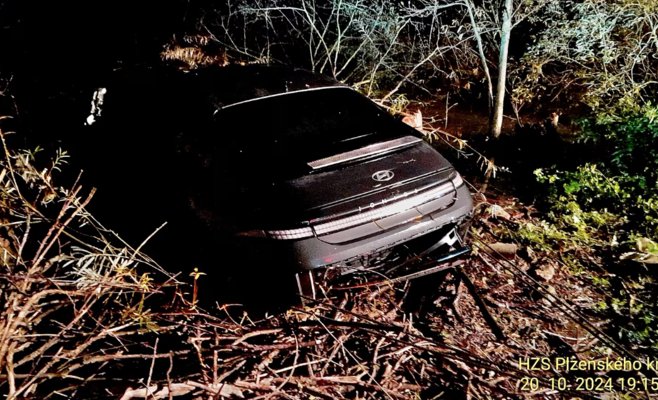 В Чехии электромобиль оказался на дне пруда, но успел 