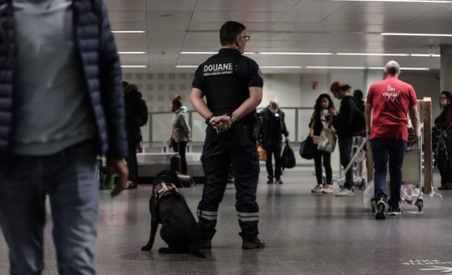 Тонна конопли в матрасах: таможенники у Бордо перехватили крупную партию наркотиков