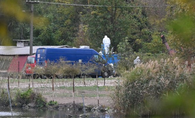 Святомартинских гусей не будет: в Годонинске уничтожили 7000 птиц из-за птичьего гриппа