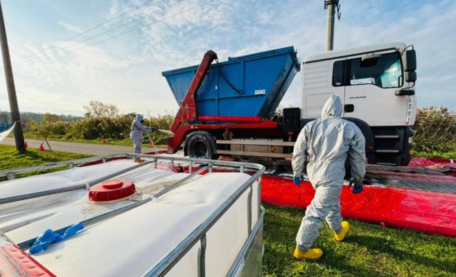 Святомартинских гусей не будет: в Годонинске уничтожили 7000 птиц из-за птичьего гриппа