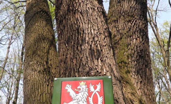 Чехии нужен единый образ. Государство объявило конкурс на создание лого с образом льва