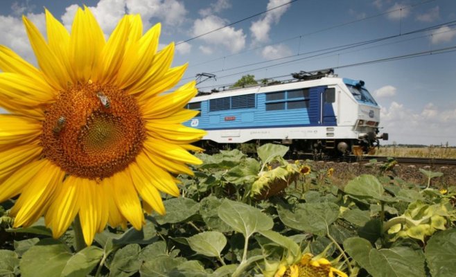 Последний рейс легендарных «бананов»: культовые локомотивы выходят из эксплуатации в Праге