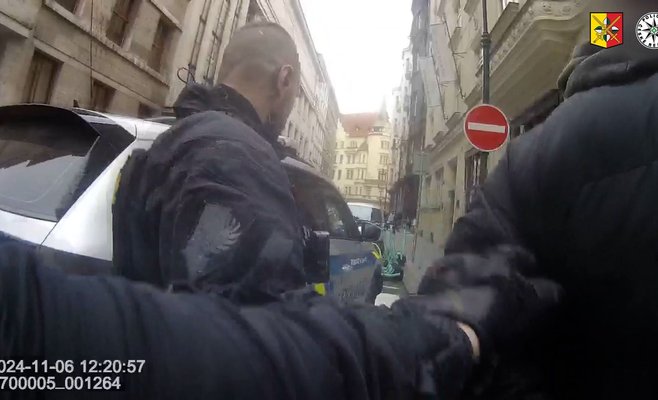 В центре Праги иностранец схватил младенца из коляски и тряс им на глазах у матери