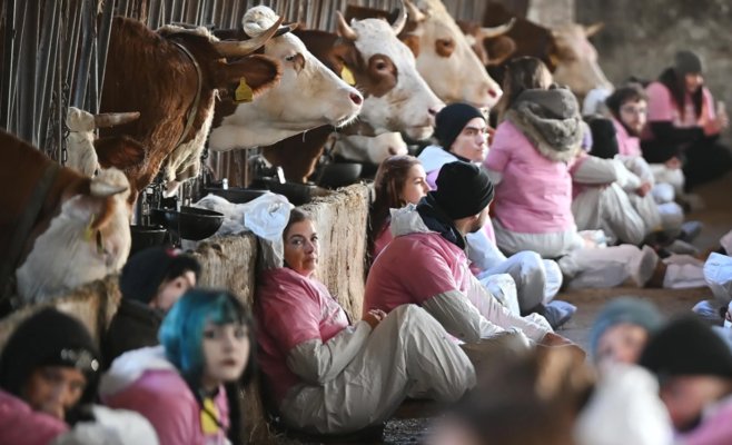 «Этот коровник — ужасен»: активисты захватили молочную ферму на Высочине, чтобы привлечь внимание к условиям содержания