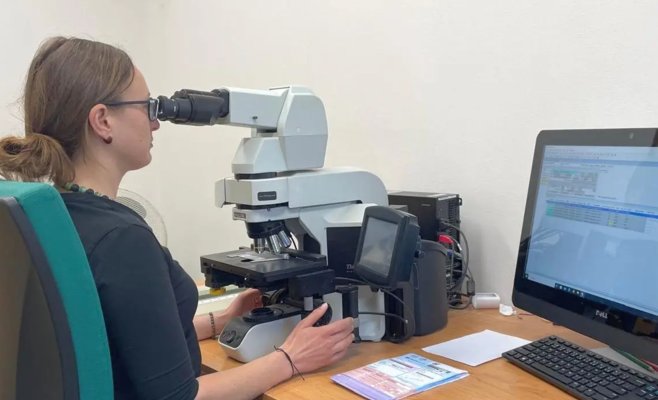 Искусственный интеллект помогает спасать жизни: в Пльзени он борется с раком