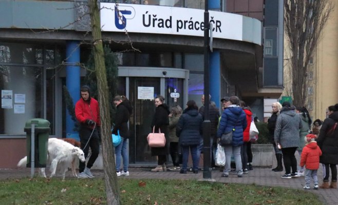 В Чехии растет число нападений на сотрудников служб занятости: установлены защитные стекла и введены экстренные меры