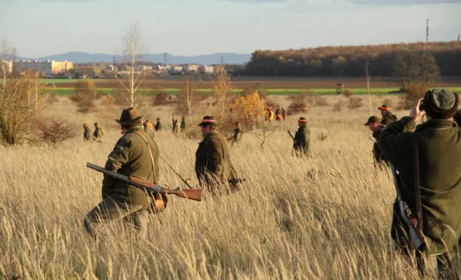 Охота под Брно закончилась трагедией: 57-летний охотник получил серьезное огнестрельное ранение