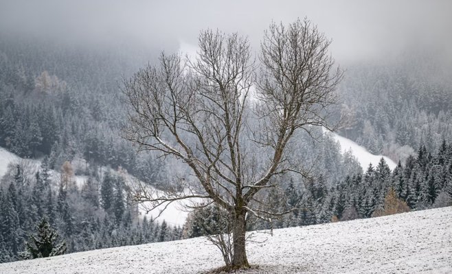Воскресенье принесет дожди и снег в Чехию: изменения погоды ощутят даже низины
