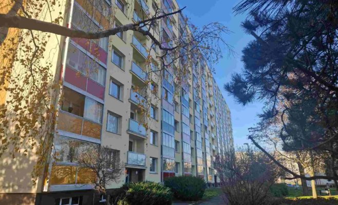 В квартире в Градец-Кралове обнаружили убитую женщину