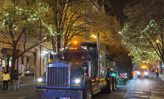 На Староместской площади в Праге установили рождественскую елку