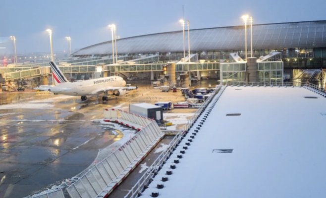 Найдена спустя девять дней: Амалка, пропавшая в парижском аэропорту, вернулась к хозяйке