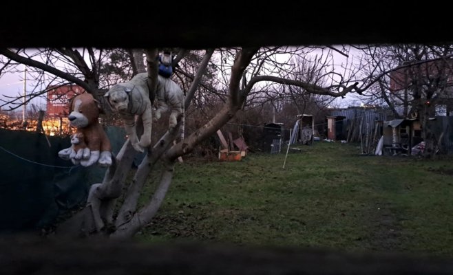 Шокирующие условия в общежитиях Пльзеня: грязь, клопы и плата за аренду сексом