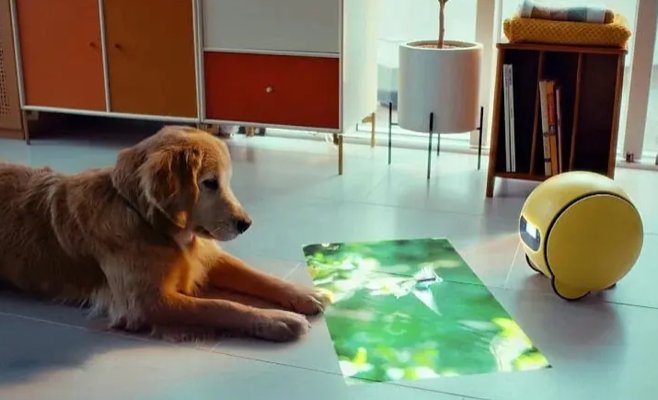 CES 2025: Милый робот Ballie от Samsung скоро появится в продаже