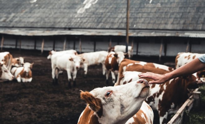 Миллионные дотации компании, управляемой братом Юречки: «Дискриминировать нельзя», – утверждает министр Выборный