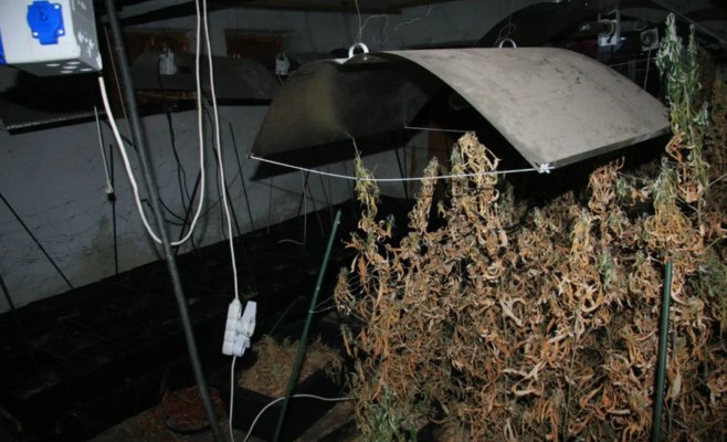 Южночешская полиция задержала наркоторговца: шесть килограммов марихуаны на миллион крон