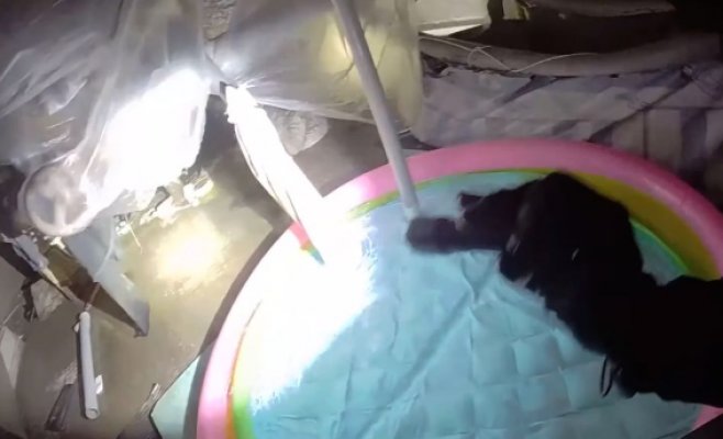Бездомные устроили в Праге личный