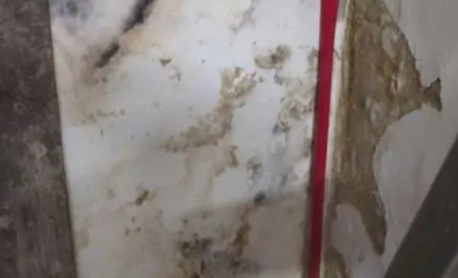 Пекарню в регионе Бланенско немедленно закрыли: шокирующие фото от инспекции