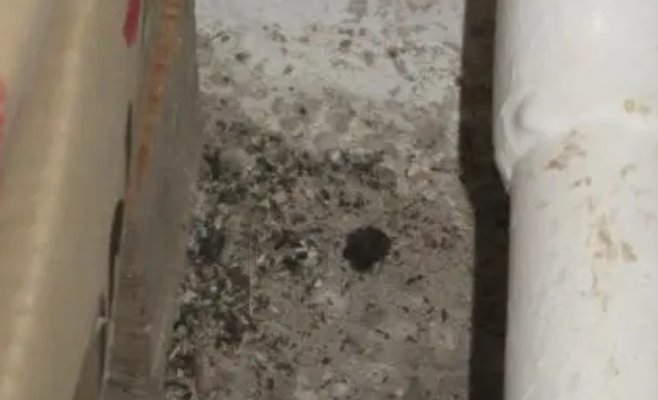 Пекарню в регионе Бланенско немедленно закрыли: шокирующие фото от инспекции