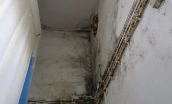 Пекарню в регионе Бланенско немедленно закрыли: шокирующие фото от инспекции