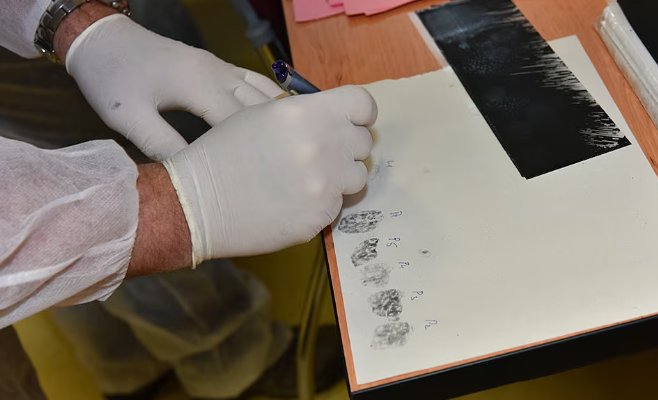 От цунами к Мосту. Идентификация жертв — это психологически сложная работа, говорит глава команды DVI