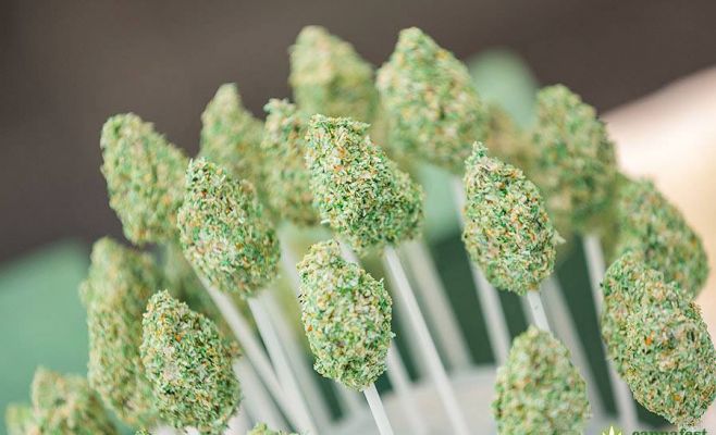 Cannafest Prague 2017